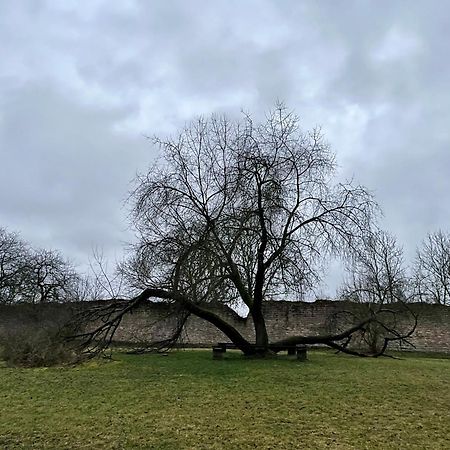 Delux Ferienwohnung Kunstgalerie Und Ilmradweg Kranichfeld Exteriör bild