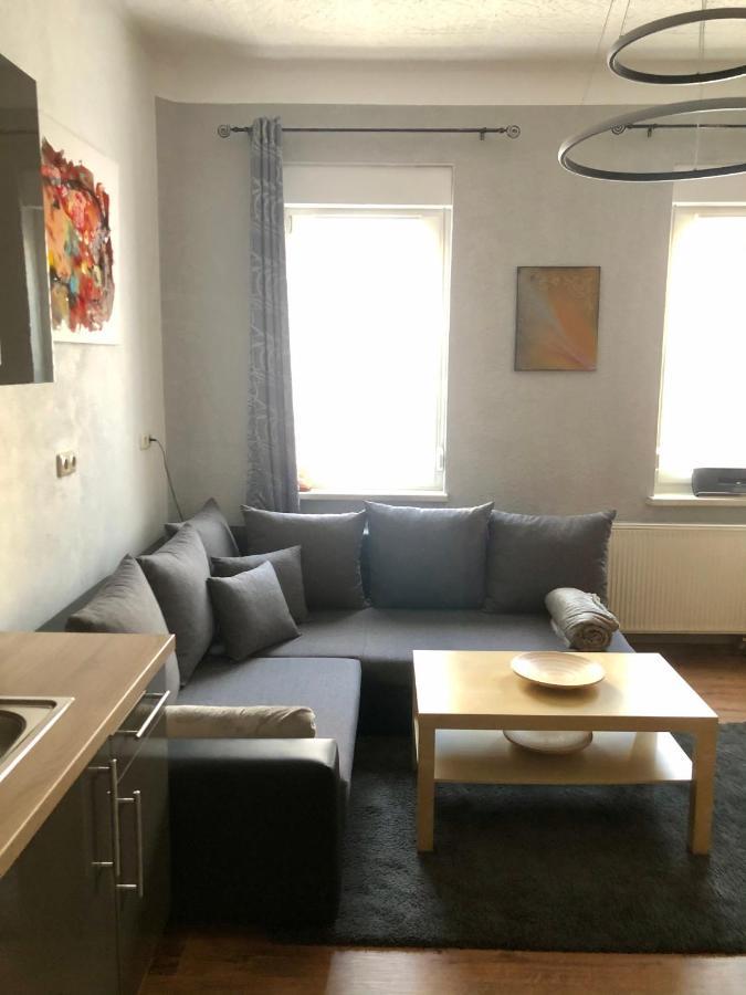 Delux Ferienwohnung Kunstgalerie Und Ilmradweg Kranichfeld Exteriör bild