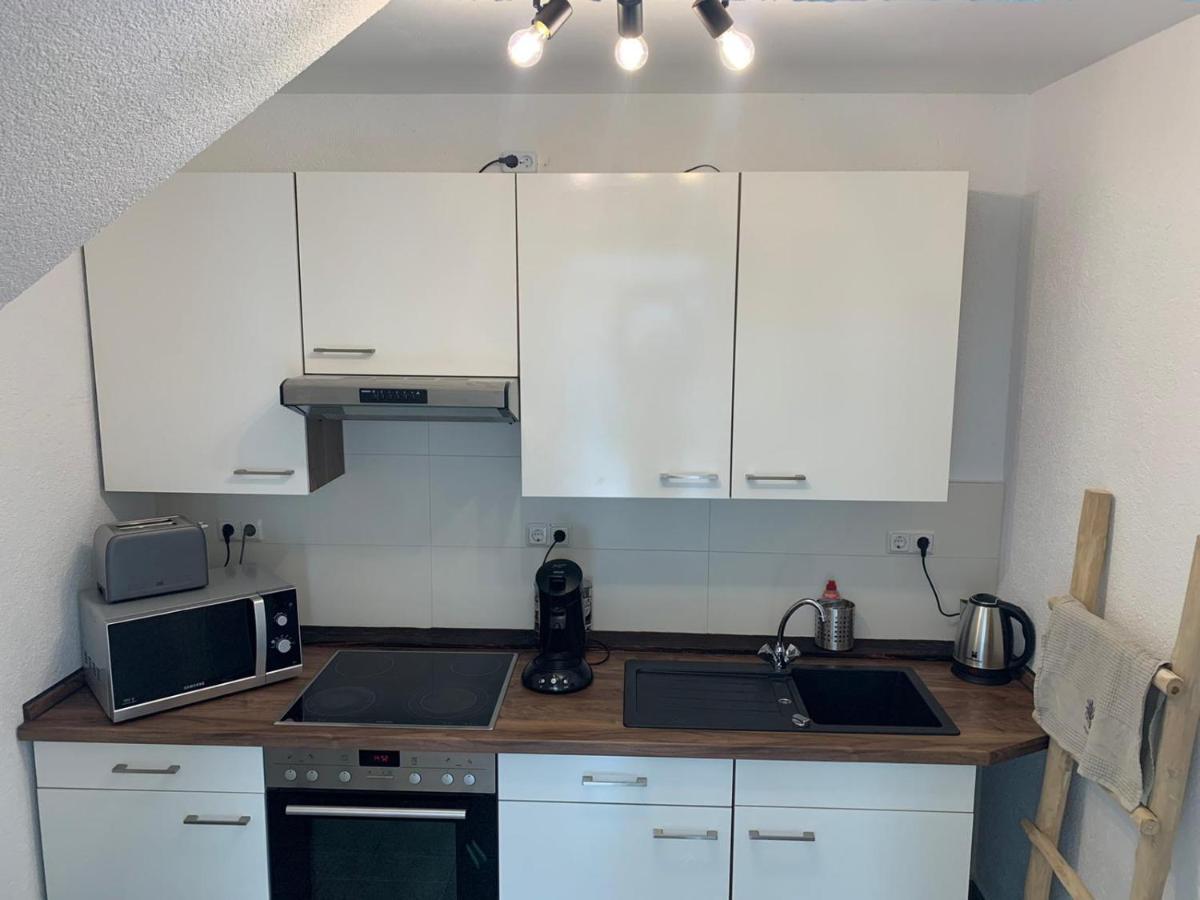 Delux Ferienwohnung Kunstgalerie Und Ilmradweg Kranichfeld Exteriör bild