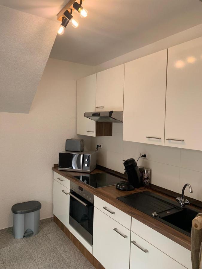 Delux Ferienwohnung Kunstgalerie Und Ilmradweg Kranichfeld Exteriör bild
