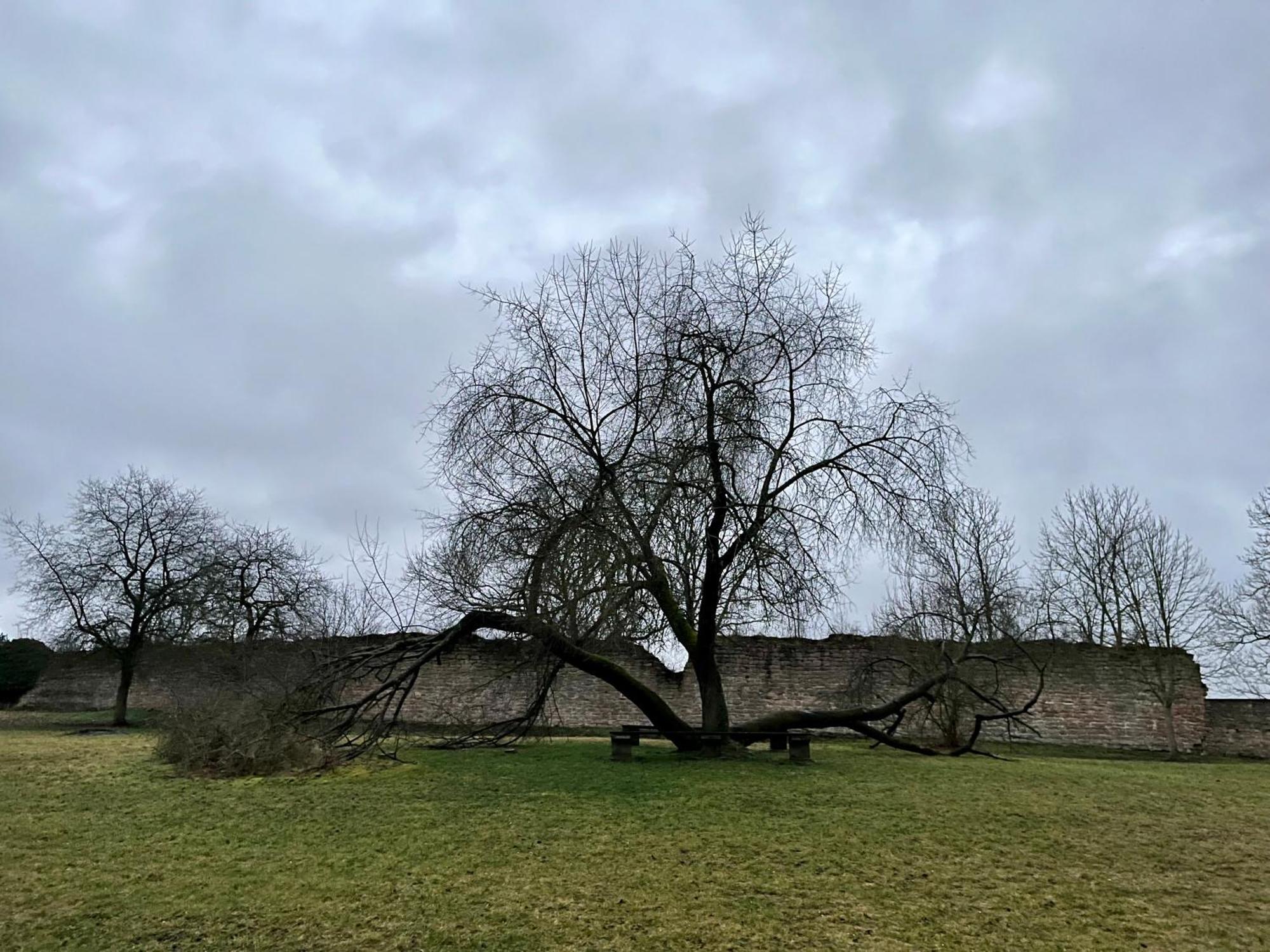 Delux Ferienwohnung Kunstgalerie Und Ilmradweg Kranichfeld Exteriör bild