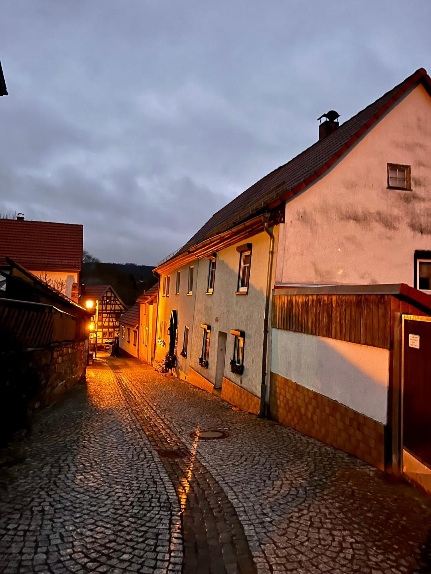 Delux Ferienwohnung Kunstgalerie Und Ilmradweg Kranichfeld Exteriör bild